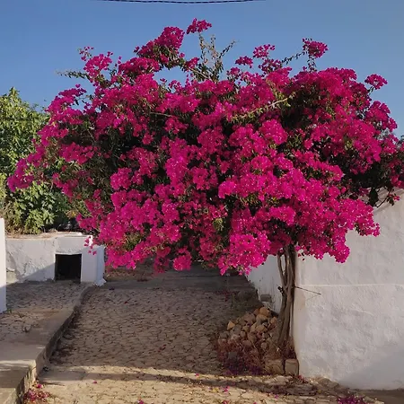 Amendoa Διαμέρισμα *