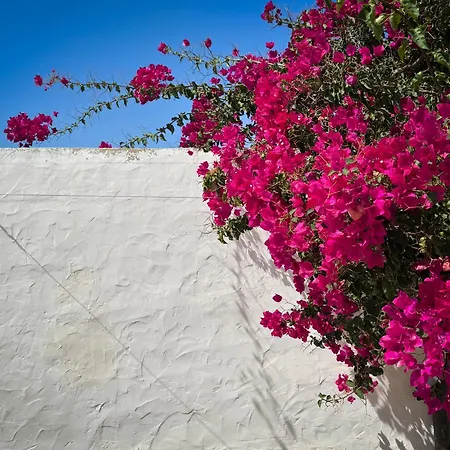 Amendoa アパート エストーイ